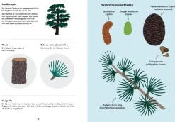 Kinder ZEIT Buchhandlung Arborama