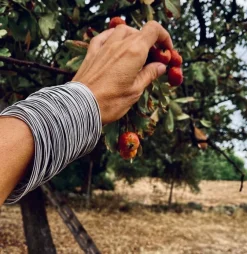 la molla »Armband 97« aus Edelstahlfedern