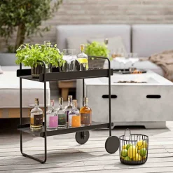 Zone Denmark Barwagen