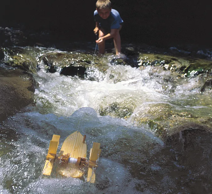 Kinder Kraul Bausatz »Forelle« zum Experimentieren