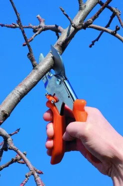 Original LÖWE Classic Schere von