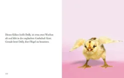 DIE ZEIT »Du siehst aus, wie ich mich fühle« -Buch