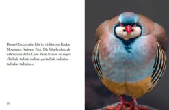 DIE ZEIT »Du siehst aus, wie ich mich fühle« -Buch