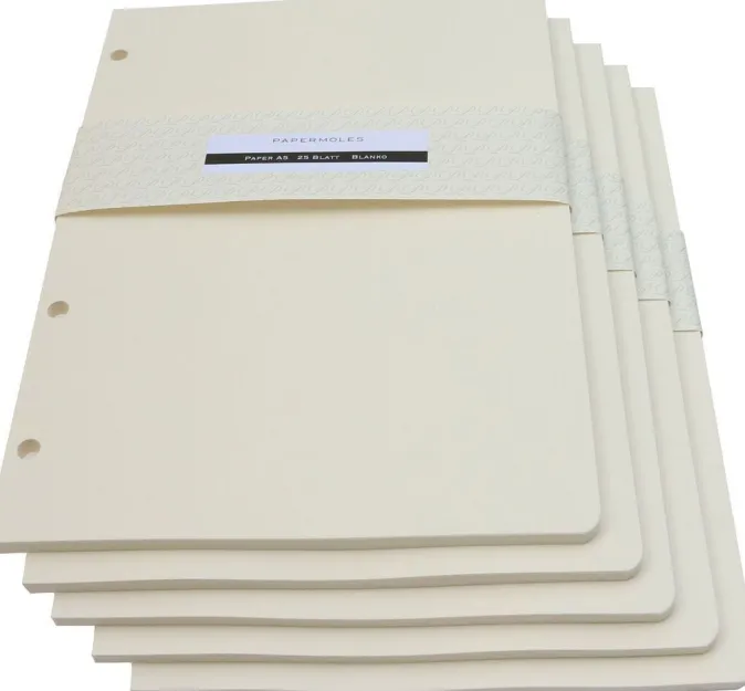 Papermoles 5er-Set Paper »PortBook A5«