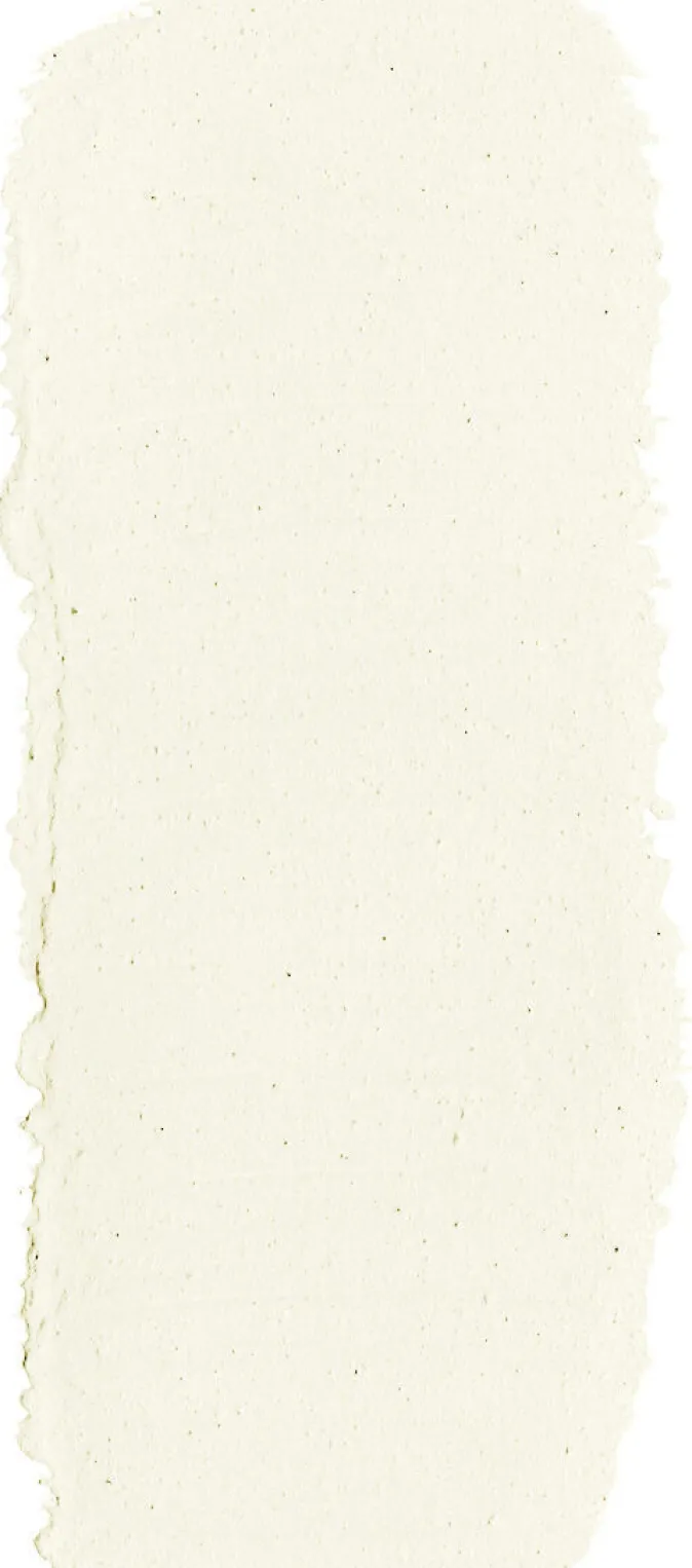 nen-do Farbfächer Lehmfarben