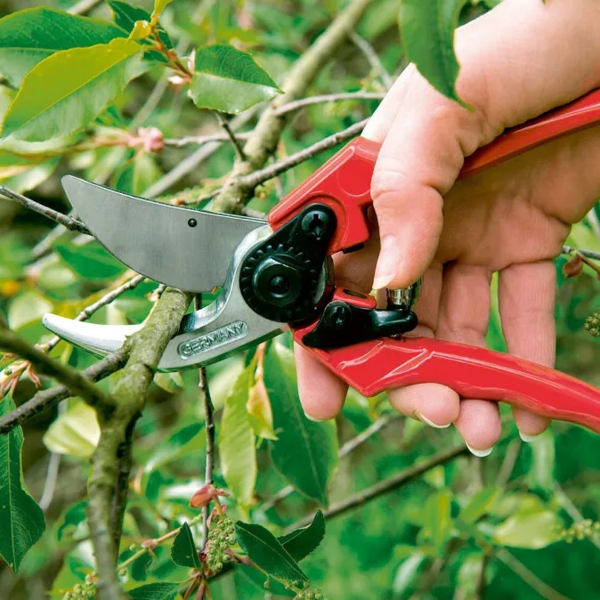 Berger Gartenschere
