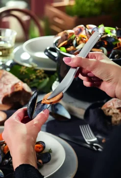 triangle Gourmetpinzette aus Edelstahl