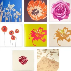 Bethge Concept Grußkarten-Set »Blumige Grüße«, 8-teilig