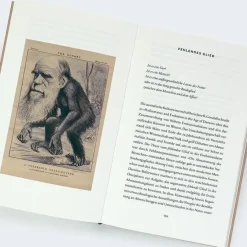 ZEIT Buchhandlung Hilal, M: Hässlichkeit