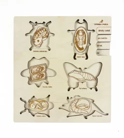 Kinder Stuka Puka Holzpuzzle »Leben des Käfers«