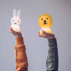 Kinder Mr Maria Kleines Nachtlicht »Lion«