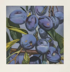 Karin Kneffel Kneffel, Karin: »Pflaumen«, 2005