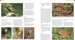 ZEIT Buchhandlung Kreuter, Marie-Luise: Der Biogarten