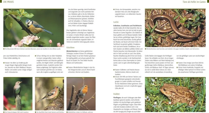 ZEIT Buchhandlung Kreuter, Marie-Luise: Der Biogarten