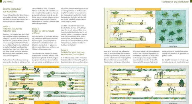 ZEIT Buchhandlung Kreuter, Marie-Luise: Der Biogarten