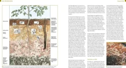 ZEIT Buchhandlung Kreuter, Marie-Luise: Der Biogarten