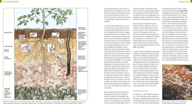 ZEIT Buchhandlung Kreuter, Marie-Luise: Der Biogarten