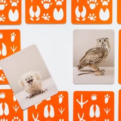 Kinder Laurence King Verlag Memo »Klein und Groß«