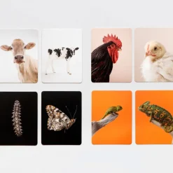 Kinder Laurence King Verlag Memo »Klein und Groß«