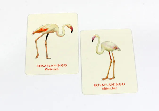 Kinder Laurence King Verlag Memo Spiel »Vogelpaare«