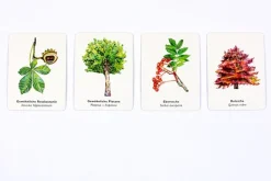 Kinder Laurence King Verlag Memo-Spiel »Bäume und ihre Blätter«