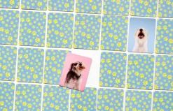 Kinder Laurence King Verlag Memo-Spiel »Hundesprache - Verstehst du deinen Hund?«