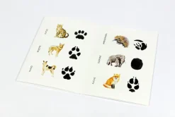 Kinder Laurence King Verlag Memo-Spiel »Wilden Tieren auf der Spur - 25 Tiere und ihre Pfotenabdrücke«