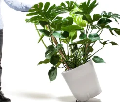 Urbanature Mobiler Pflanzkübel