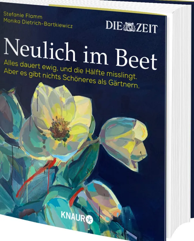 DIE ZEIT Neulich im Beet