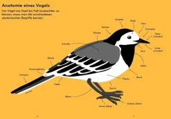 Kinder ZEIT Buchhandlung Ornithorama