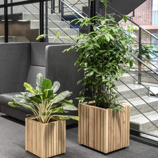 Squarely Pflanzgefäß »GrowBIG«