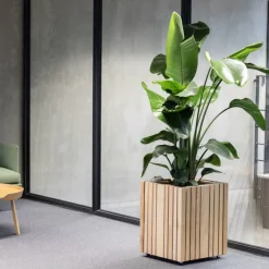 Squarely Pflanzgefäß »GrowBIG«