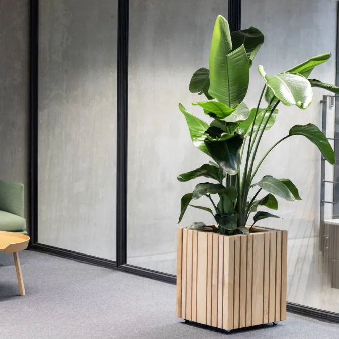 Squarely Pflanzgefäß »GrowBIG«