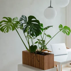 Squarely Pflanzgefäß »GrowWIDE«