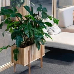 Squarely Pflanzgefäß »GrowWIDE«