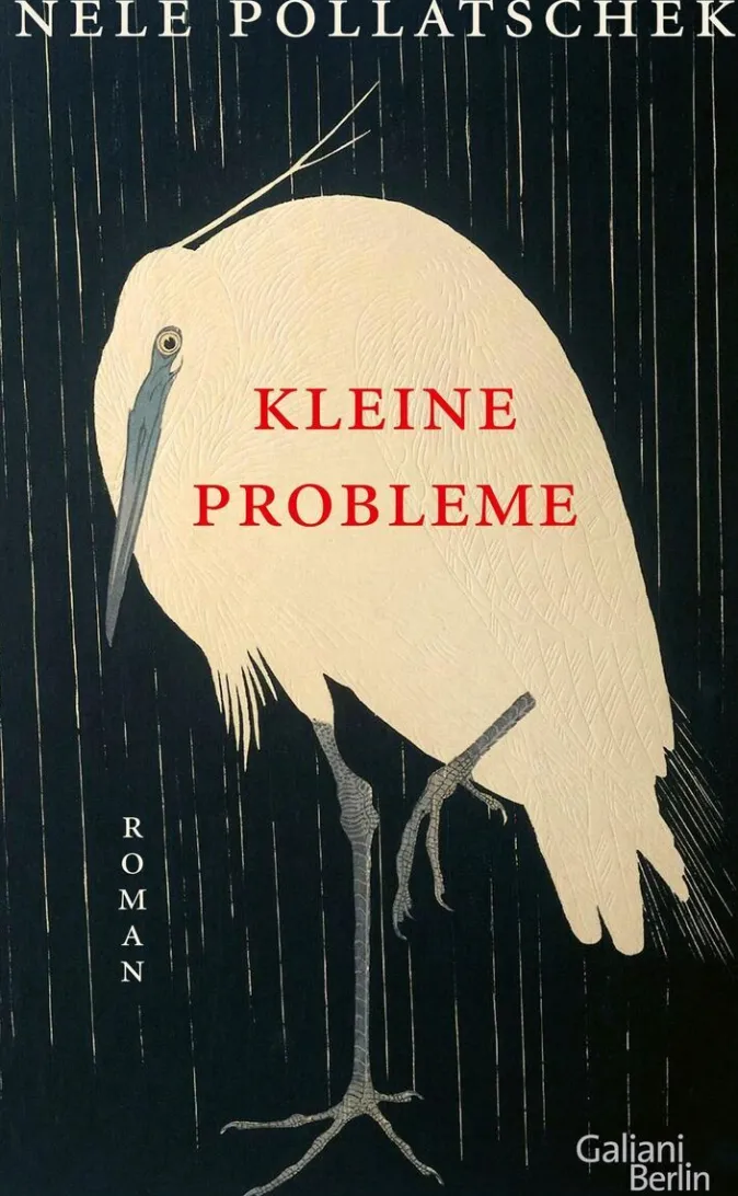 ZEIT Buchhandlung Pollatschek, Nele: Kleine Probleme