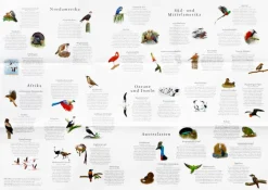 Kinder Laurence King Verlag Puzzle »In 50 Vögeln um die Welt«