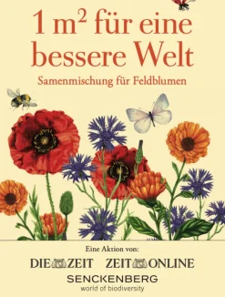 DIE ZEIT Samentütchen Feld- oder Wildblumen »1 Quadratmeter«