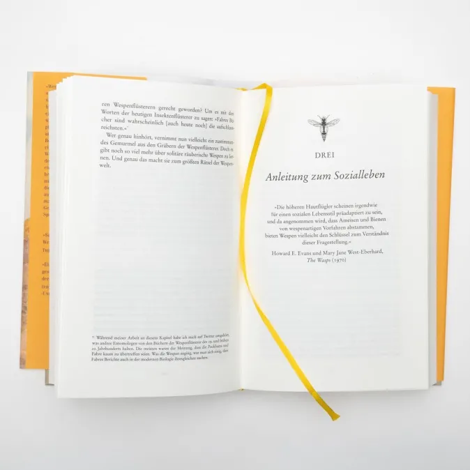 ZEIT Buchhandlung Seirian Sumner: Wespen – Eine Versöhnung