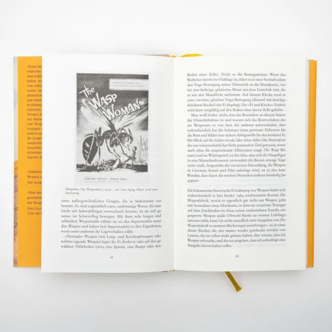 ZEIT Buchhandlung Seirian Sumner: Wespen – Eine Versöhnung