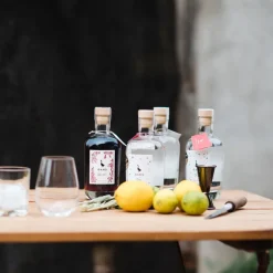GANS Feinbrand Manufaktur »Sloe Gin« von GANS