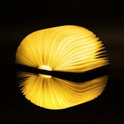 Gingko Design Ltd Smart Booklight »Ahorn«