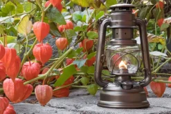 Feuerhand Sturmlaterne